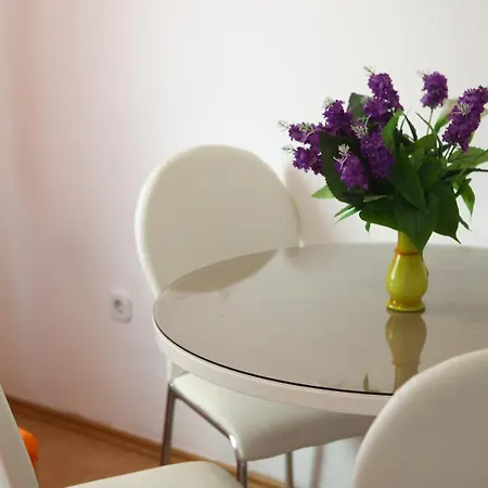 Ana Lovetovo Apartment